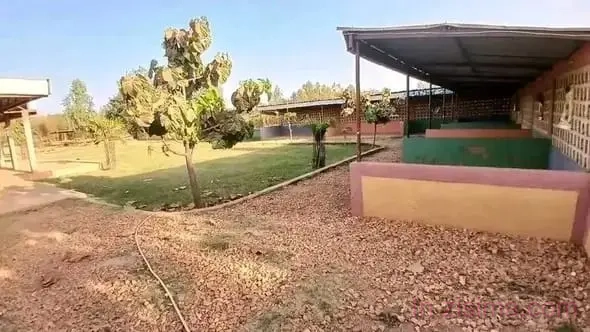 Grand Espace Commercial à Louer à Borgho