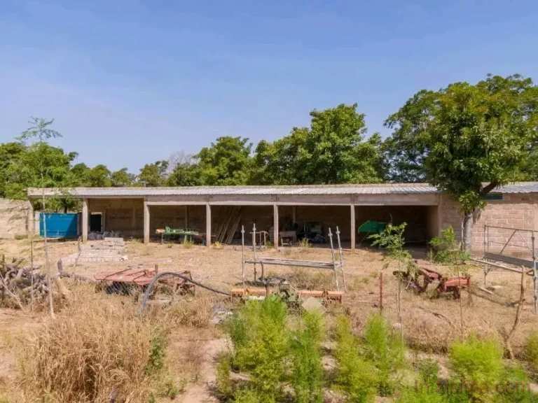 Ferme aménagée de 25 hectares à vendre à Sapouy