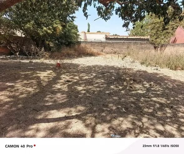 Parcelle clôturée 627m² à vendre à Pissy