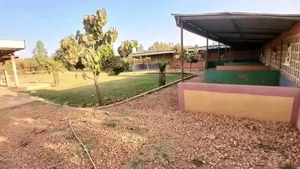 Grand Espace Commercial à Louer à Borgho