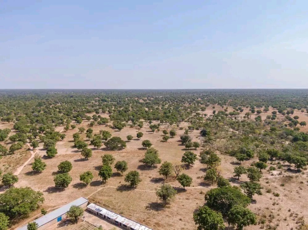 Ferme aménagée de 25 hectares à vendre à Sapouy